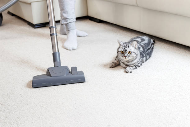vacuums for pet hair